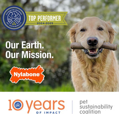 Nylabone Nubz Natural Edible Dog Chew Treats for Puppies, Long Lasting Dog Bones Made in USA, Turkey & Sweet Potato Flavor, for Puppies