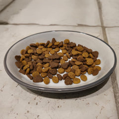 SPOT Two Tone Gray Oval Cat Food Dish - Ceramic Plate with Low Edges, Saucer with Whisker-Friendly Shape and Low-Profile Sides, Ideal for Wet or Dry Cat Food, Hand Wash Only, 6 inch (1 Cup- 8 Oz)