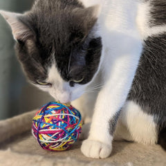 SPOT Ethical Products Sew Much Fun/Yarn Ball Cat Toy