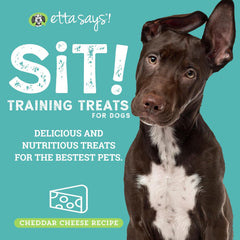 etta says! Training Treats - All Natural Cheese Soft Treats for Dogs - Made in The USA