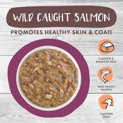 Weruva Classic Cat Stews, Stick A Spork in It with Duck & Salmon in Gravy (Pack of 12)