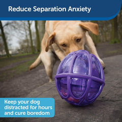 PetSafe Busy Buddy Kibble Nibble - Dog Toy - Treat and Food Dispenser - Slow Feeder