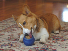 Starmark Everlasting Treat Ball