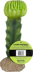 Multi Pet 48593325: Komodo Cactus Plant Moon, 7.5In