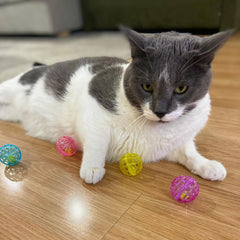 Spot® Ethical Lattice Balls with Jingle Bells, 4 count