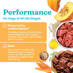 Solid Gold Healthy Dog Treats - Functional Treats for Training + Gut Health - Beef with Salmon Oil Healthy Training Treats for Dogs 5.2-oz