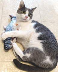 SPOT Flippin' Fish Interactive Cat Toy with Catnip for Indoor Cats & Kittens - Touch Activated, Flipping Tail, Rechargeable with USB, Hours of Fun - 11.5 inch