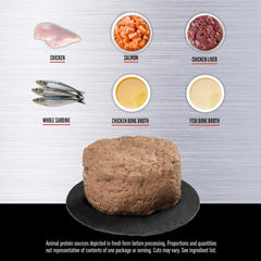 ORIJEN Kitten Chicken and Salmon Entree in Bone Broth Wet Cat Food, WholePrey Ingredients, 5.5oz