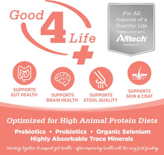 NutriSource Grain Free Cat & Kitten Ocean Select