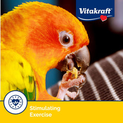 Vitakraft Crunch Sticks Apricot & Cherry Flavor Bird Treat for Conures