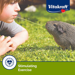 Vitakraft Crunch Sticks Guinea Pig Chewable Treats - Apple and Orange