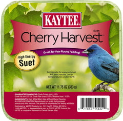 Kaytee Wild Bird Mini Cherry Harvest Suet Cake, 11.75-Ounce