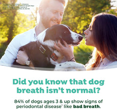 TropiClean Fresh Breath Dental Foam Spray for Dogs & Cats