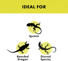 Zilla Incandescent Bulb, Day White