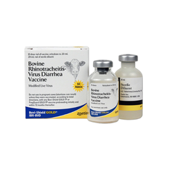 Bovi-Shield Gold® IBR-BVD - 10 Dose