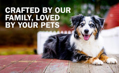 Redbarn Pet Products Pig Ear Dog Chew