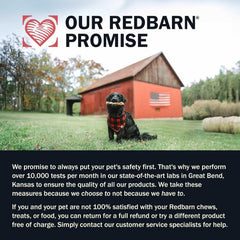 Redbarn® Air Dried Beef Recipe Dog Food