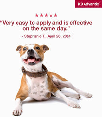 Elanco K9 Advantix™ for Large Dogs – 2 Monthly Doses