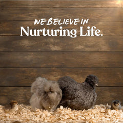 Manna Pro® Omega 3 Egg Maker™ 5 lb bag – Supplement for Laying Hens