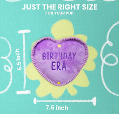 Snugarooz Birthday Era Dog Toy 7.5"
