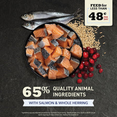 ACANA Indoor Entrée Fish Recipe Cat