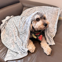 SPOT Snuggler Bones Blanket - Ultra Soft, Machine Washable Dog Blanket for Beds, Furniture Protection, Travel, and Crates
