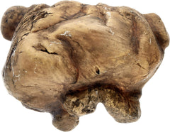 Exo Terra Reptile Cave