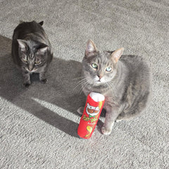 SPOT Ethical Products Fun Food PURRGLES Kicker 8"