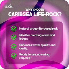 CaribSea LifeRock Arches - 20 lb Box with Four 12" Rocks - Natural Aragonite for Aquascaping, Supports Coral Growth & Ideal for Marine & Reef Tanks