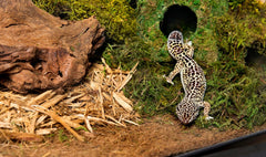 Galápagos (05056) Cypress Tank-Mulch Woodland Bedding for Reptiles & Amphibians, Eco-Friendly, High Absorbency, Dust-Free Perfect for Bearded Dragons, Tortoises, Snakes, & More