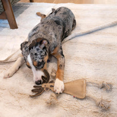 SPOT Dura-Fused Leather Forest Animals - Dog Toy with Squeaker and Rope Limbs, Real Leather and Jute Chew Toy, Durable No-Stuffing Toy For Light to Moderate Chewers - 14in, Assorted Styles, 1 Piece