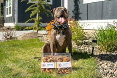 Claudia's Canine Bakery, Sweethearts, Bacon Flavor Gourmet Dog Treats | No Preservatives, No Animal by-Products, No Fillers | Made in The USA | Net Wt. 13 oz