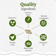 Ark Naturals Gentle Digest Capsules, Vet Recommended Prebiotics and Probiotics to Support Intestinal Balance and Immune System Health in Dogs and Cats, Natural Ingredients