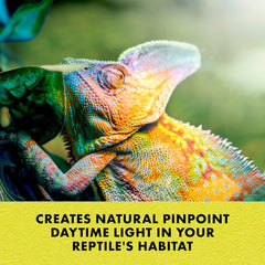 Zilla Incandescent Spot Bulbs Day White