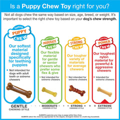 Nylabone Ring Bone Chew Toy for Puppies, Puppy Teething Toys, Puppy Enrichment Toys, Chicken Flavor, Medium Dogs