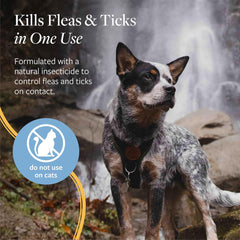 Veterinary Formula Flea and Tick Spray for Dogs – Easy-to-Use Dog Flea Spray, Kills on Contact, Prevents Egg & Larval Development for 14 weeks