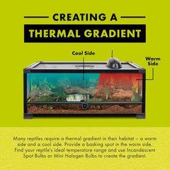 Zilla Night Time Black Light Incandescent Heat Bulb