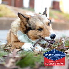 Barkworthies 6 Inch Beef Gullet Sticks - 12 Count (Pack of 1) - Protein-Packed, Supports Dental Health, Quick Hollow Snack, Great for Older Canines or Teething Puppies