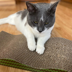SPOT Wave Cat Scratcher - Corrugated Scratching Board with Wavy Design, Made from 100% Eco-Friendly & Recyclable Cardboard, Encourages Good Scratching Behavior - 17" Board with Catnip Pouch Included