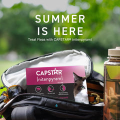 CAPSTAR (nitenpyram) Oral Flea Treatment for Cats, Fast Acting Tablets Start Killing Fleas in 30 Minutes, Cats 2-25 lbs, 6 Doses