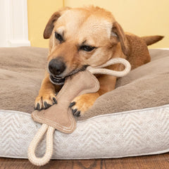 SPOT Dura-Fused Leather Bone Tug Dog Toy – Real Leather & Jute Fabric, Double-Stitched & Durable, Squeaky Interactive Tug Toy with Double Rope Handle for Moderate Chewers, Soft Stuffed Fetch Toy, 18in