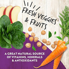 Earthborn Holistic K95 Lamb Recipe Grain-Free Canned Moist Dog Food 12 / 13 oz Can