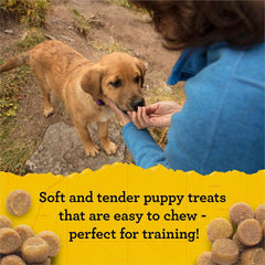 Zuke's Puppy Naturals Bag of Soft Puppy Treats for Training, Natural Dog Treats Bites with Salmon Recipe