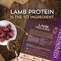 Wholesomes Lamb Meal & Rice Dry Dog Food 40 lb