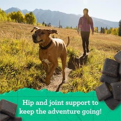 Zuke’s Hip and Joint Support Dog Treats for Adult Dogs of All Sizes, Senior Dog Treats made with Real Chicken