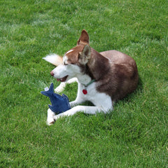 SPOT Dura-Fused Colorful Leather Dog Toys with Squeaker, Made with Real Leather and Jute Fabric, Durable Stuffed Toy for Dogs and Puppies 1 ea