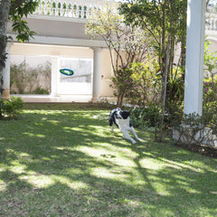 ChuckIt! 31389 7" Pet Lite Flight