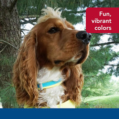 Coastal Pet - Pro - Reflective Adjustable Dog Collar, Bright Green with Grey