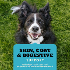 ACANA Chewy Strips Dog Treats, Salmon, High Protein Dog Treats