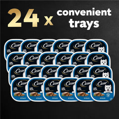 Cesar Wet Dog Food Classic Loaf in Sauce Lamb Recipe, 3.5 oz. Easy Peel Trays (24 Count, Pack of 1)